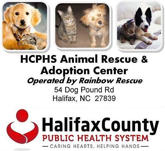 Halifax County Animal Rescue and Adoption Center, NC